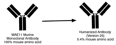 a02c_chart.gif (8151 bytes)