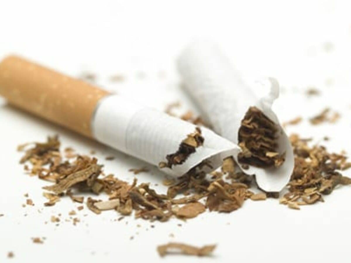 is reseed a cigarette brand Reynolds Brands Punche Tobacco - Victory Seed