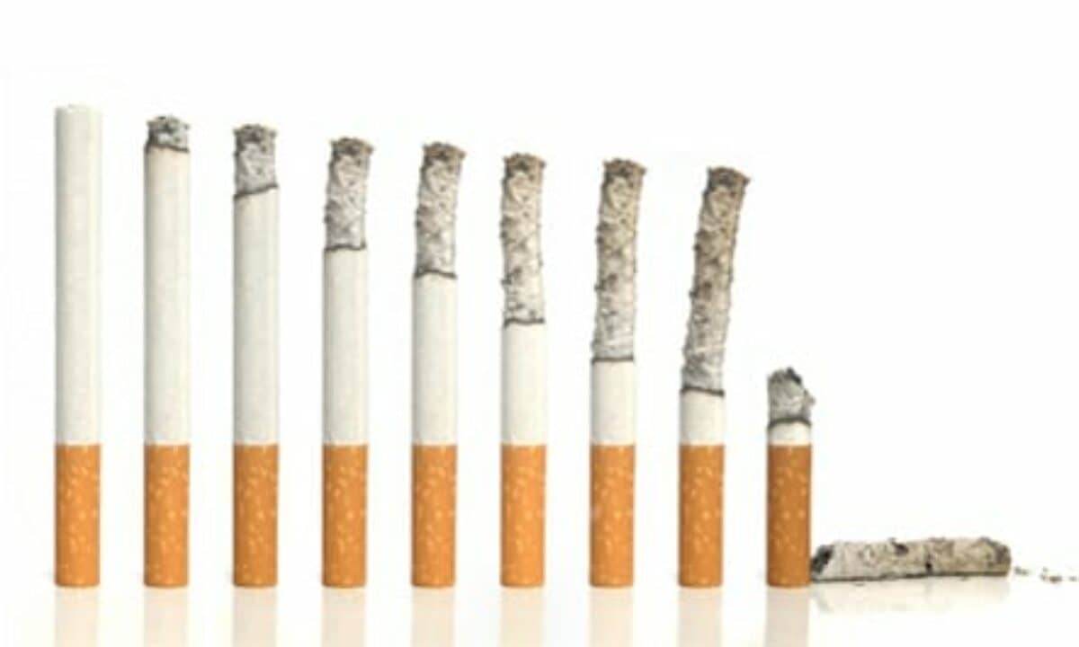 is cigarette smoke bad for plants How Does Cigarette Smoke Affect the Growth of Plants?