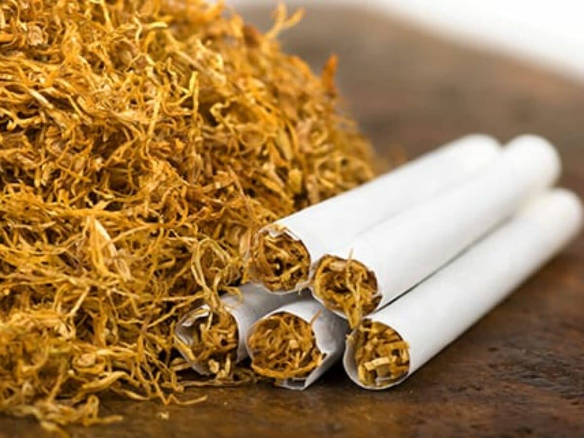 New WHO Treaty Includes Key Decisions Regarding Tobacco Control