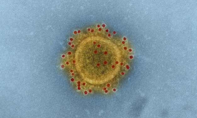 What RTs Need to Know About MERS