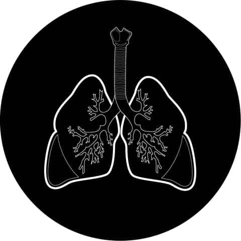 Black Nanoparticulate in Smokers’ Lungs May Start Emphysema