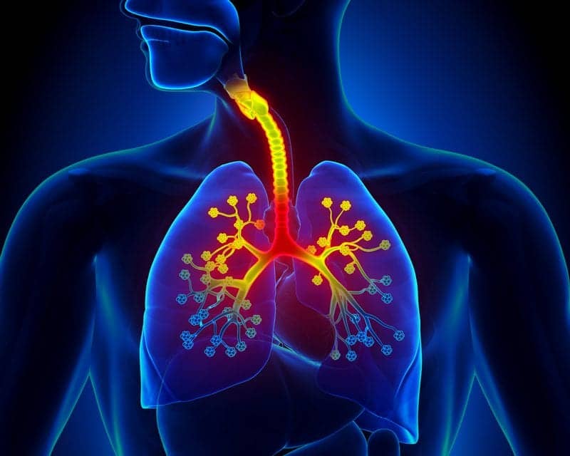 Bronchiolitis in Early Childhood May Lead to Increased Asthma Risk