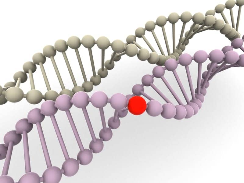 Gene Variants Influence Immunity to Respiratory Infections, Rhinovirus