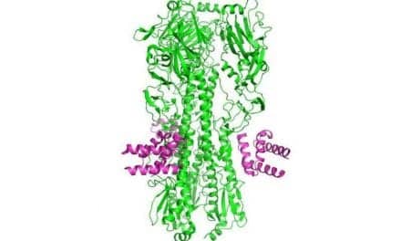 Fighting Flu with Designer Drugs: A New Compound Fends Off Different Influenza Strains