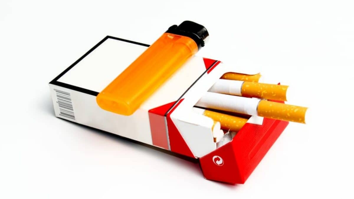 san francisco tobacco Restriction on the Sale of Menthol and All Other Flavored Products  Counter Tobacco a bold olfactory experience that surpasses even the Marlboro Man himself san francisco tobacco laws Smoking