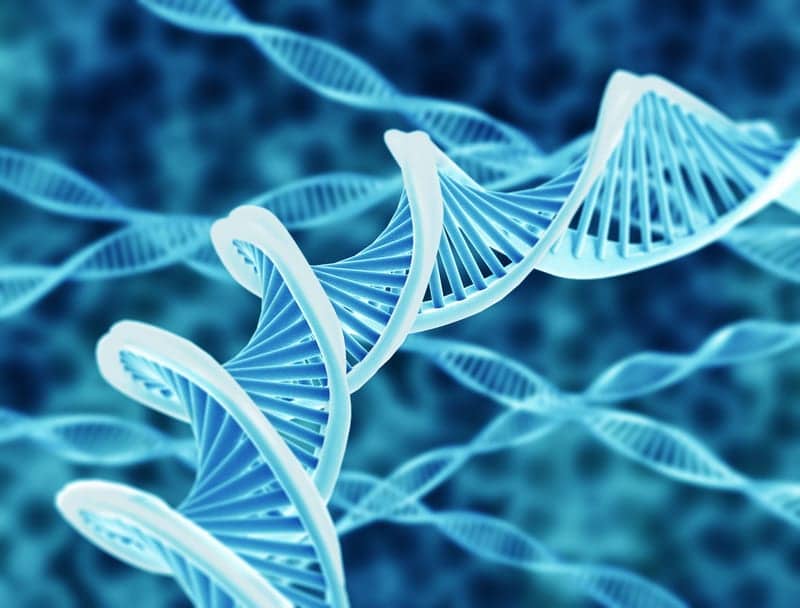 Gene Therapy Breakthrough for Duchenne Muscular Dystrophy