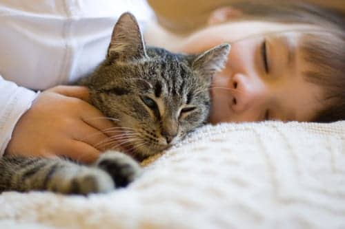 Kids Exposed to Cat, Pest Allergens Had Lower Asthma Risk