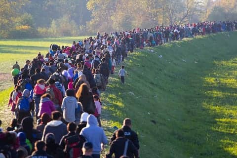European Migrants at Increased Risk of Drug Resistant TB