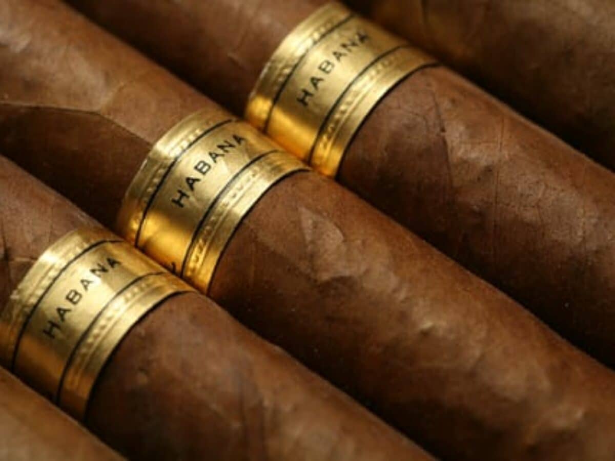 jr tobacco nj JR Cigar — Bit & Grain