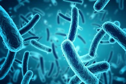 Cystic Fibrosis Lung Bacteria Increases in First Years of Life