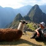 Llamas Could Save Us All from the Flu