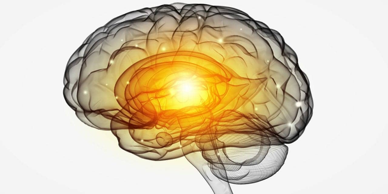 CPAP Adherence Improved Cognitive Function in Older OSA Patients