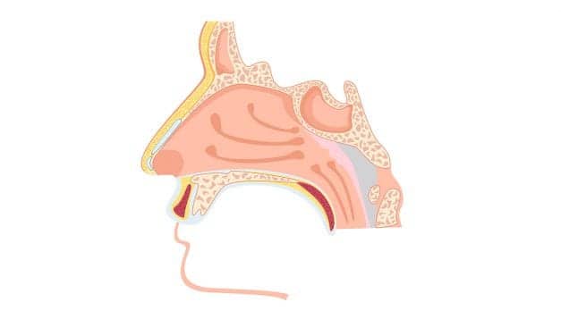 FDA Accepts Xolair sBLA for Treatment of Nasal Polyps