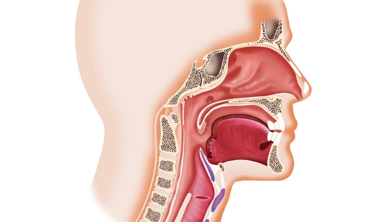 New Data Supports Effectiveness of VivAer Nasal Airway Obstruction Device