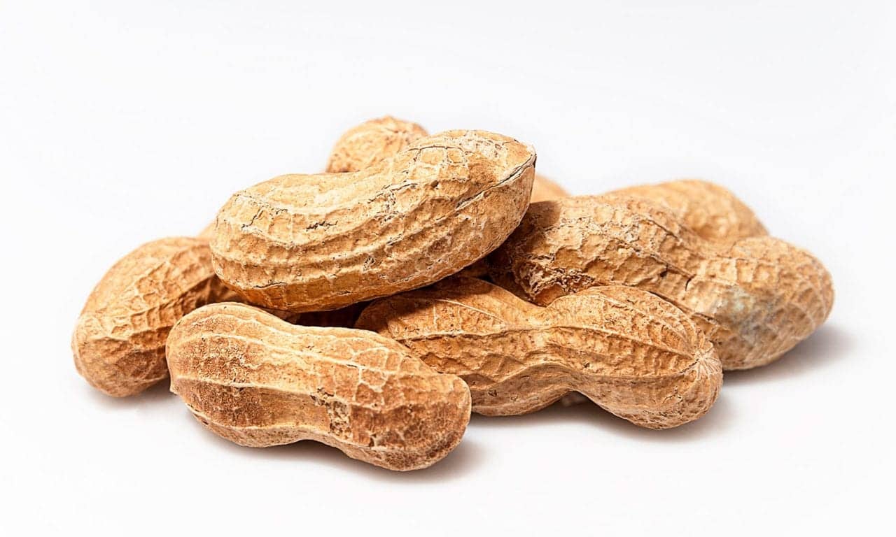 Long-term Use of Peanut Patch Shows Increased Benefit Over Time