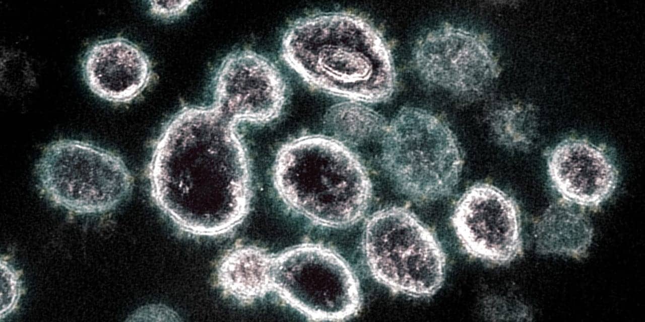 Developing a Nitric Oxide Therapy for COVID-19, Other Infectious Diseases