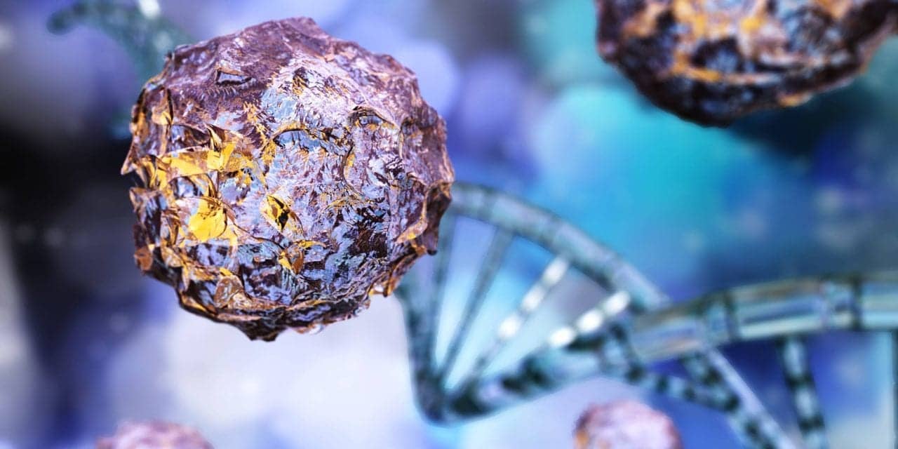 The Quest to Grow Transplant Lungs via Animal Stem Cells