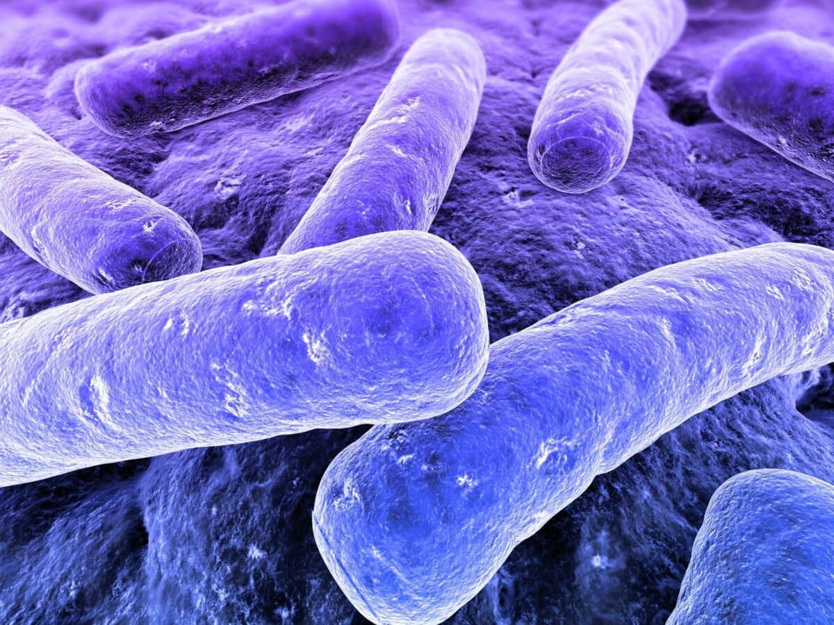 bacteria-purple-2k11-1200x900.jpg