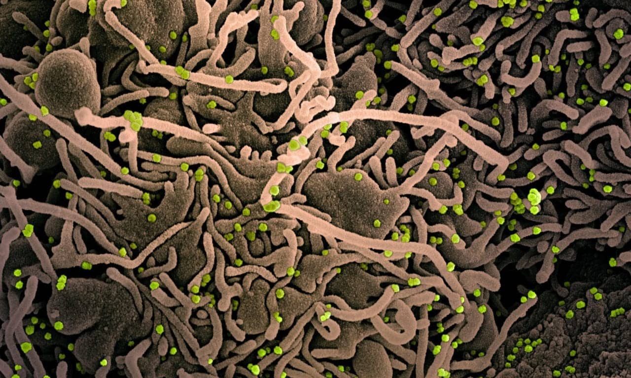 FDA Approves Olumiant for Hospitalized COVID Patients