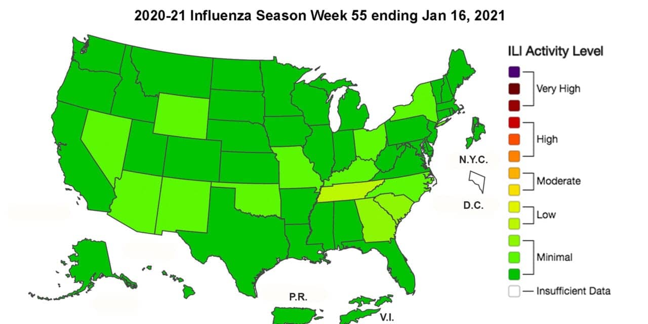 CDC: Influenza B Emerges as Dominant Flu Strain, Transmission Remains Low