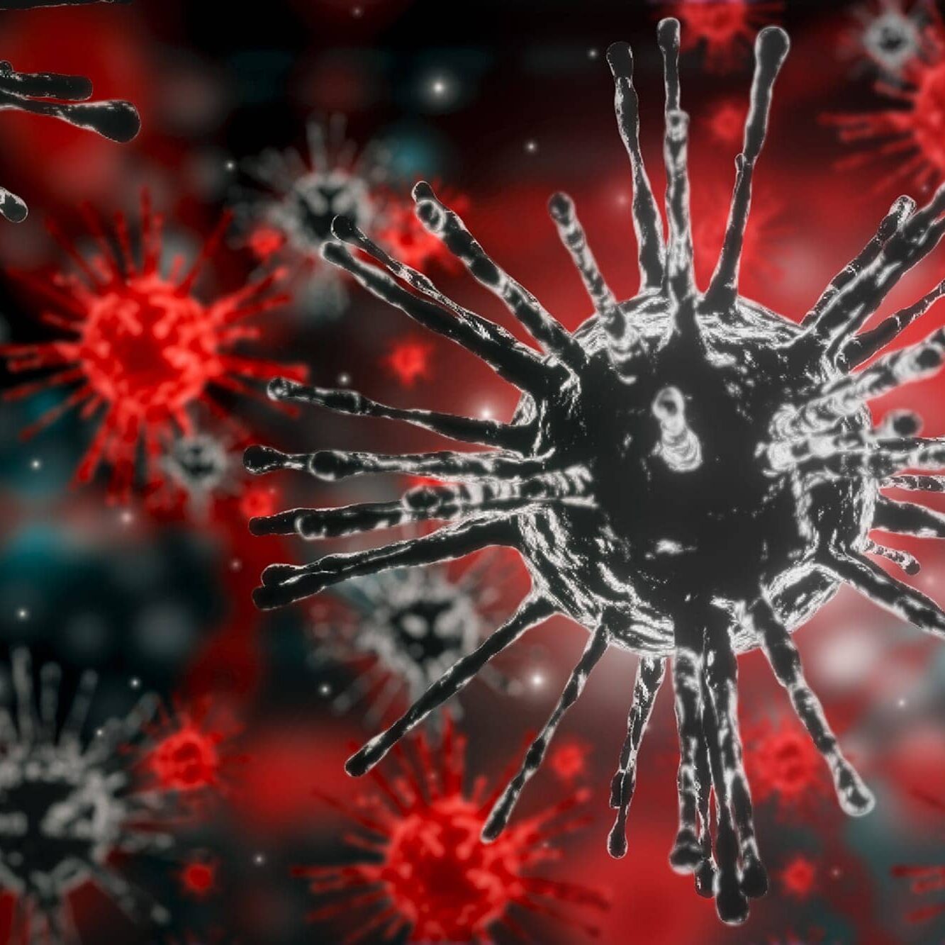 influenza-2k6-1333x1333.jpg