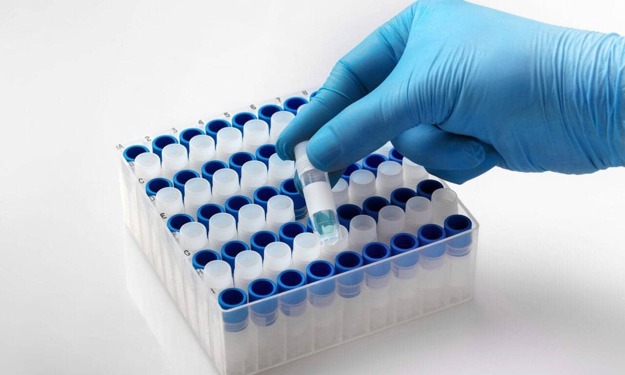 COVID-19 Vaccines Not Linked to Miscarriage