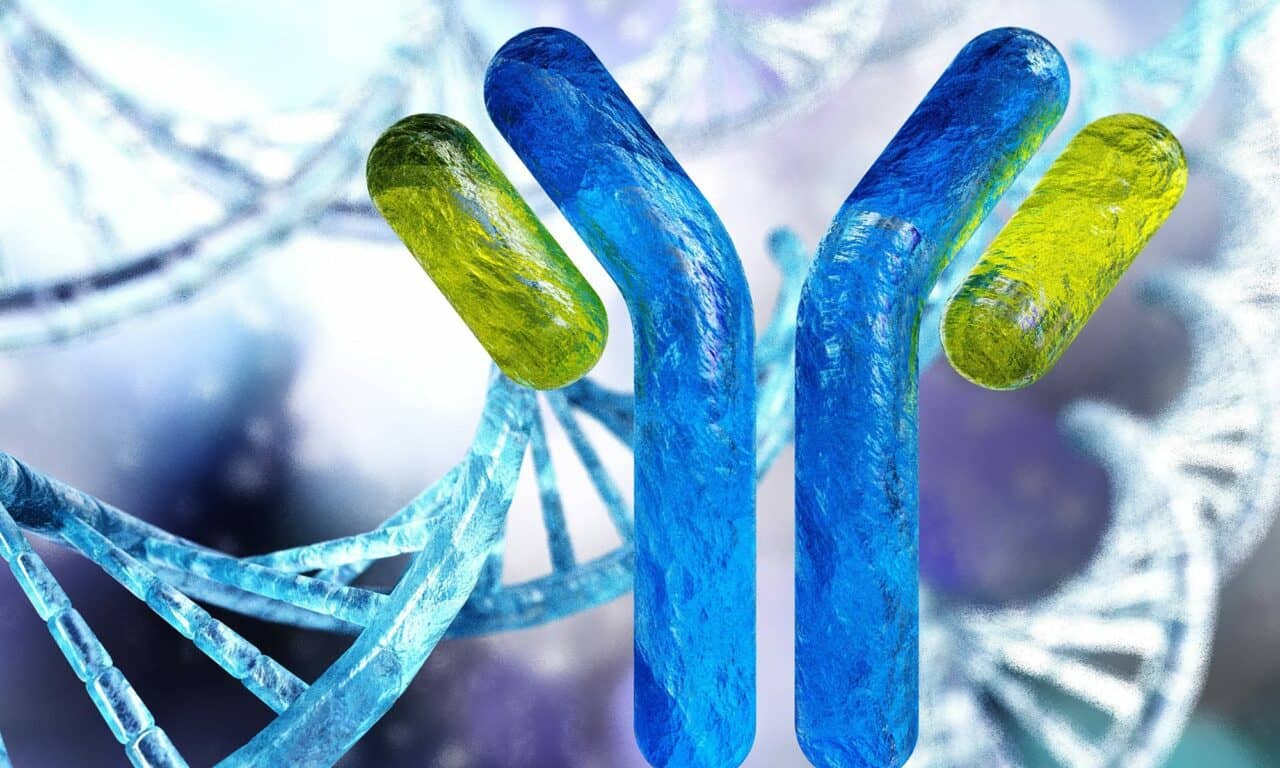 Experimental Antibody May Reduce Tumor Size in Lung Cancer