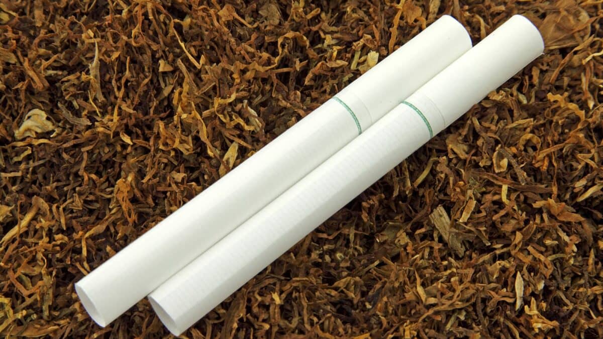 buy newport cigarettes online Newport Cigarettes Online: Buying Considerations and Product Information|Buy  Newport Cigarettes Online