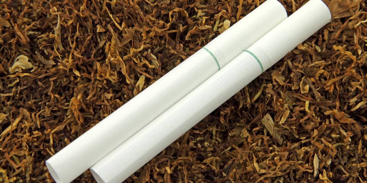 Smoking Cessation Study Targets Menthol Cigarettes