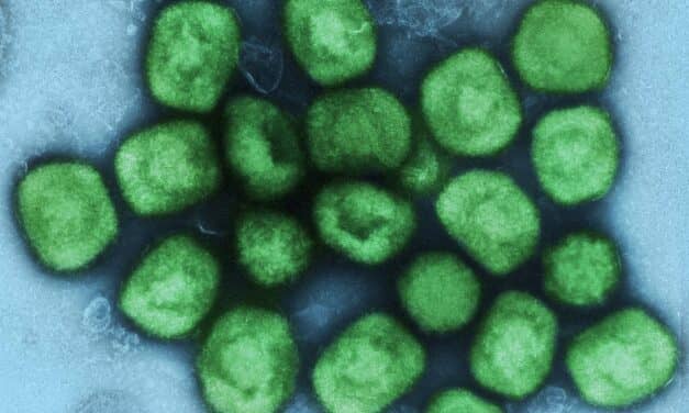 CDC Activates Emergency Operations Center for Monkeypox Response