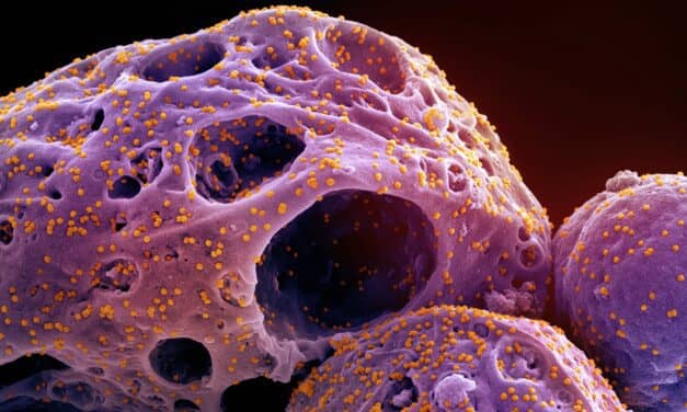 COVID-19 Jumped to Humans Without Prior Adaptation