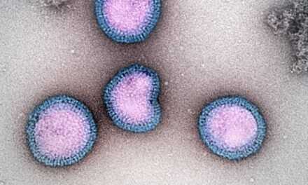 CDC: Second Human Case of Avian Flu Tied to Dairy Cow Outbreak