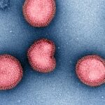 Tech-funded Project Intercept Aims to Strike Down Cold and Flu