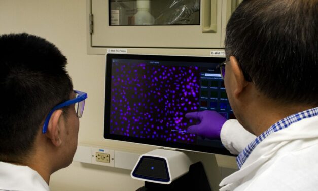 Key Protein Responsible for COVID-19 Spread Between Cells Identified