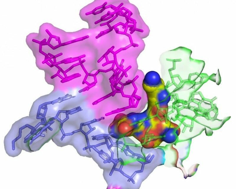 Antibiotic Effective Against Multidrugresistant Bacteria