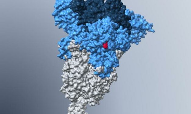 Omicron Subvariant BA.5 Mutation Could Efficiently Infect Lung Cells