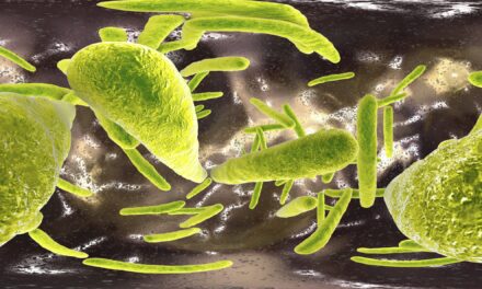 Immune Cell Modification May Offer Improved Tuberculosis Defense
