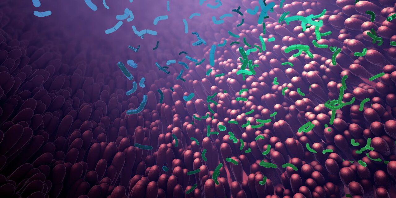 Gut Microbiota Influence Severity of Viral Infections