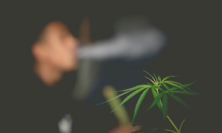 Cannabis Use Increases Severe COVID-19 Risk Comparable to Smoking