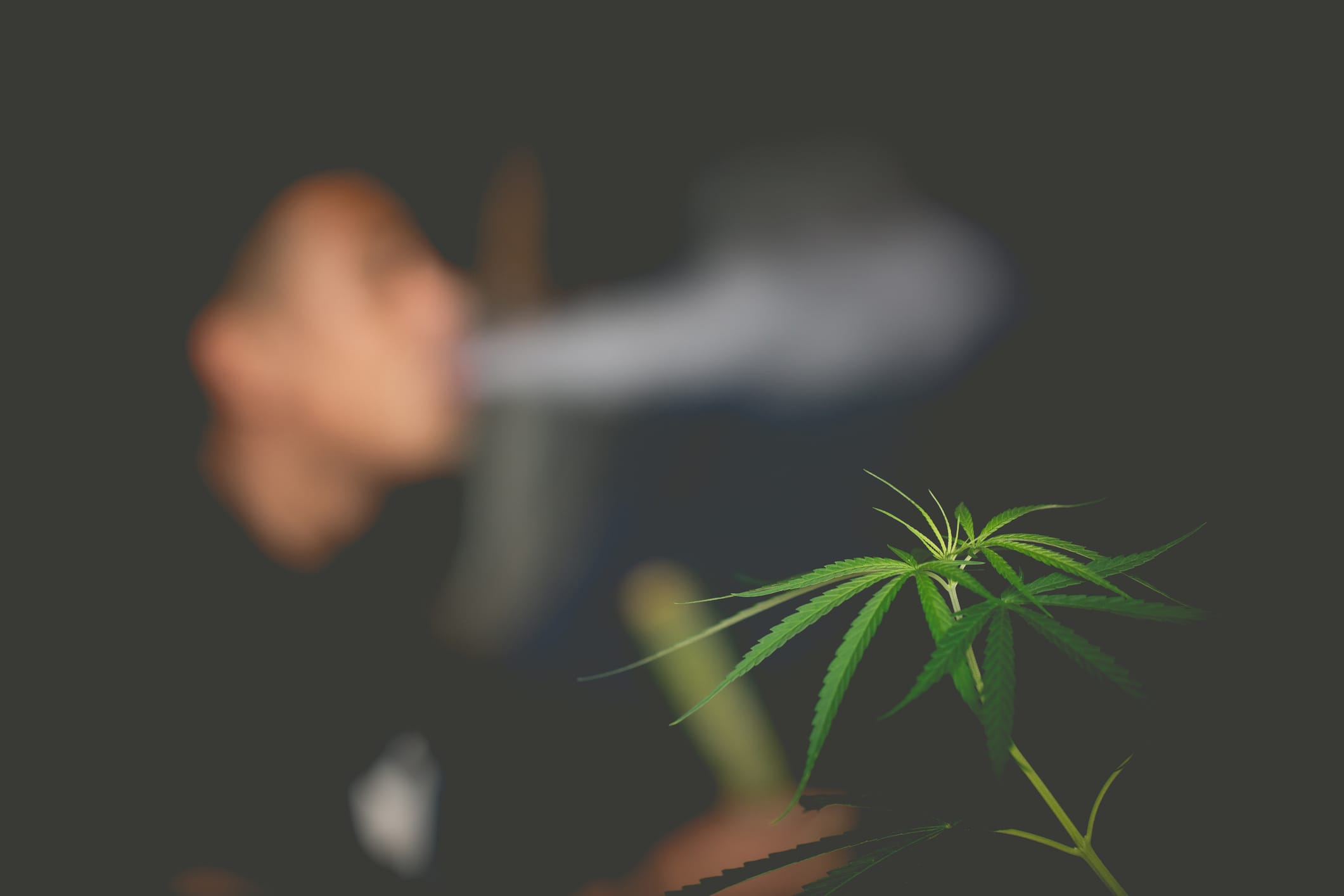 Cannabis Ups Severe COVID19 Risk Comparable to Smoking Respiratory
