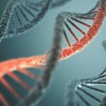 Gene Variant Reduced Benefit of Pediatric Asthma Drug