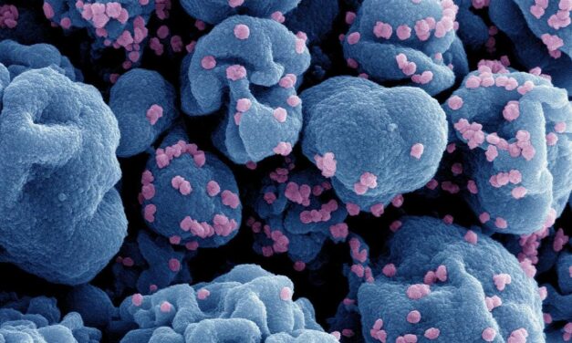 NIH Begins Trial of Experimental Nasal COVID-19 Vaccine