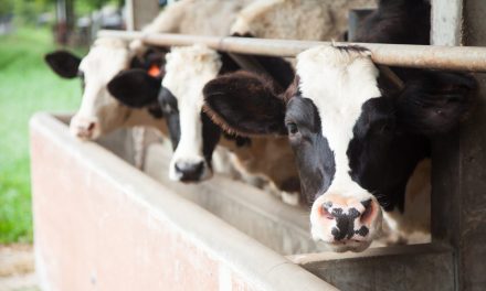 Third Human Case of H5 Bird Flu Confirmed in California