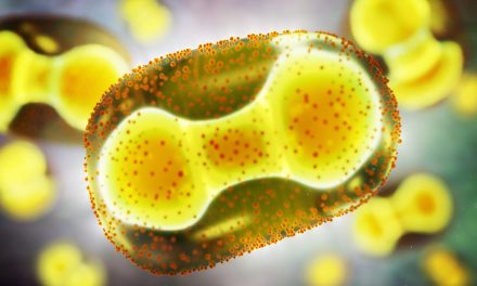WHO Grants Emergency Use Listing to Mpox Diagnostic Test