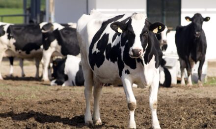 California Declares State of Emergency for Bird Flu Response