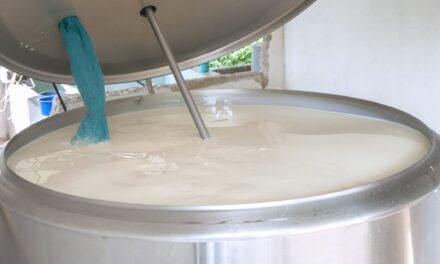 USDA Mandates National Milk Testing to Combat Bird Flu in Dairy Herds