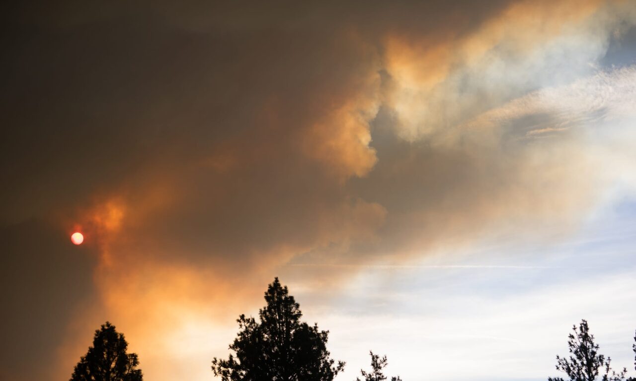 Wildfire Smoke Linked to Surge in Lung and Heart Medical Visits