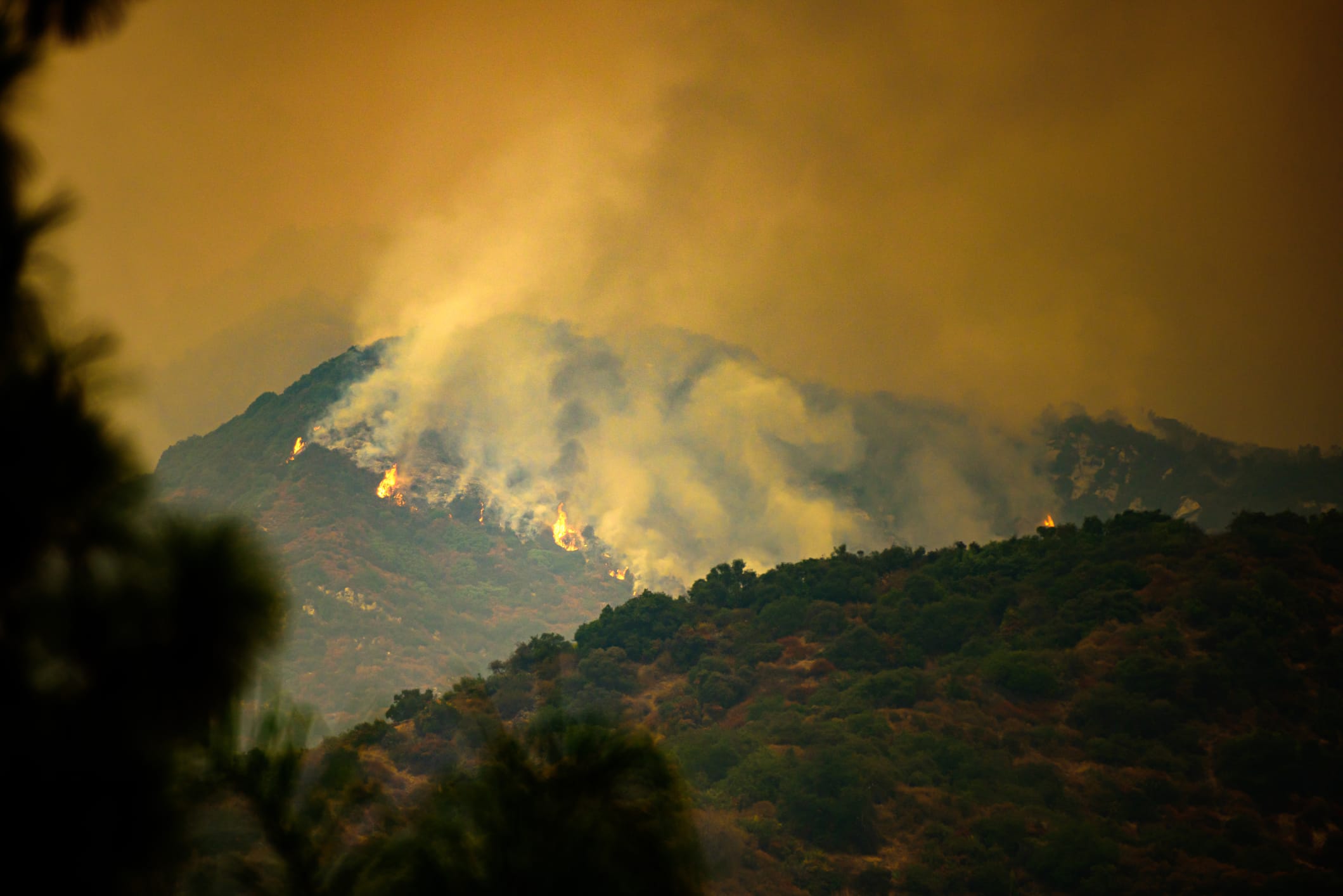 Los Angeles Wildfire Smoke