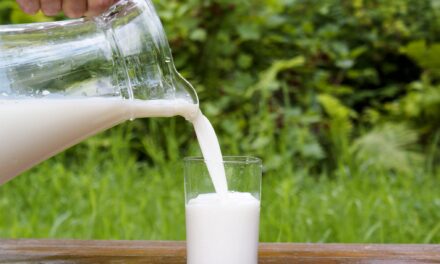 H5N1-Contaminated Milk May Pose Lower Risk Than Respiratory Exposure